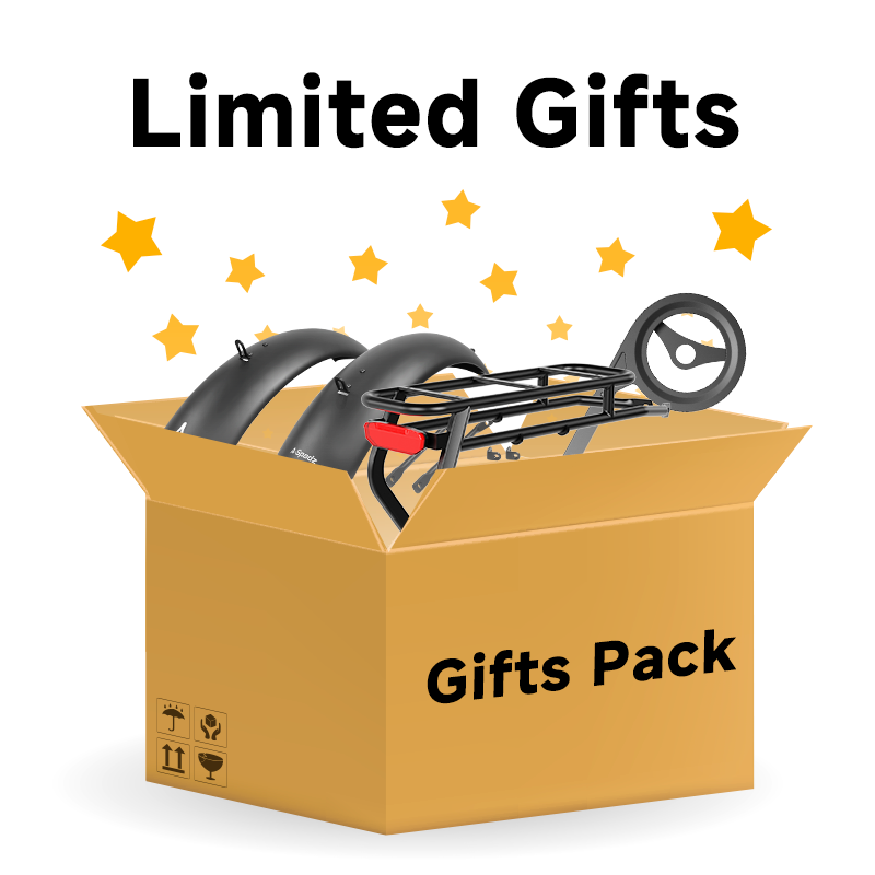 Cadeaupakket (inclusief voetsteun, spatbord en kettingkast!)